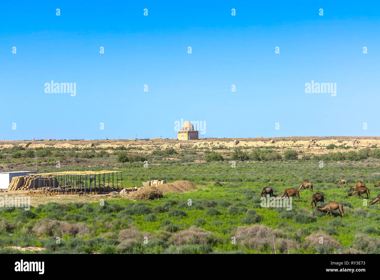 Mary Turkmenistan Sultan a Sanjar mausoleo al tramonto con i cammelli Foto Stock