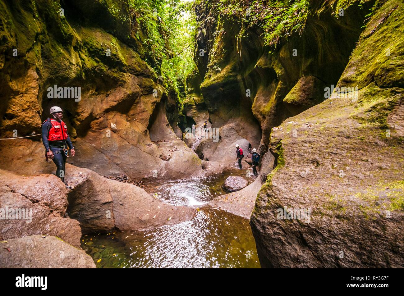 America Centrale e Caraibi Piccole Antille, Dominica isola, canyoning sul fiume Roseau Foto Stock