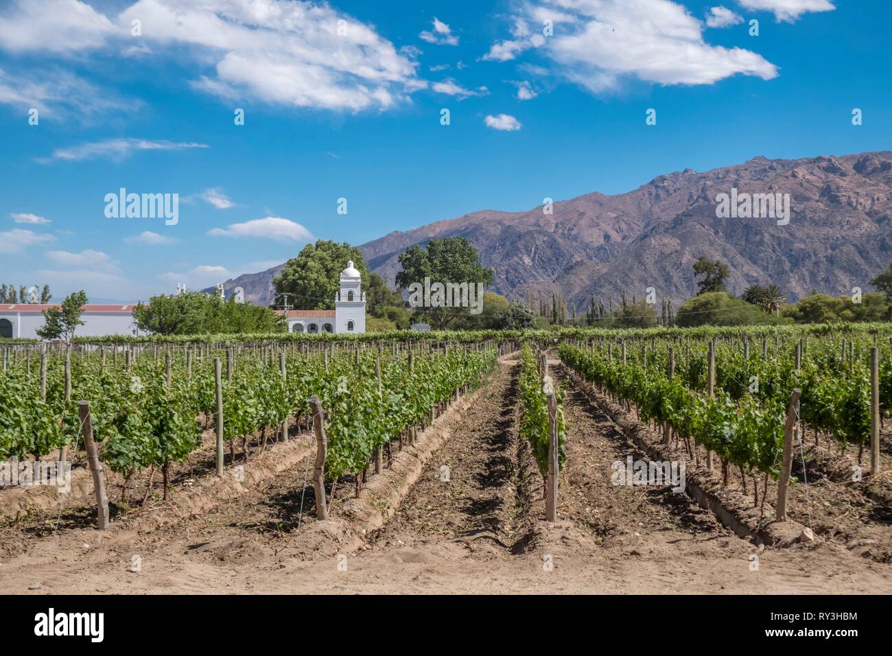 Argentina, provincia di Salta, Cafayate, Valles Calchaquies, lo Sheraton Hotel, Bodega El Esteco, una cantina e vigneto di Cafayate Foto Stock