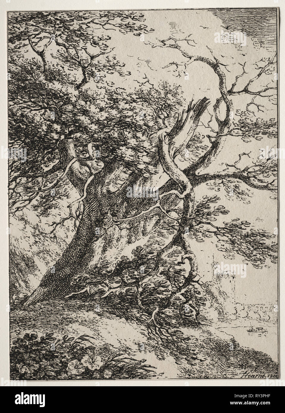 Esemplari di Polyautography: Paesaggio con un albero di quercia, 1803. Thomas Hearne (British, 1744-1817). Litografia Foto Stock
