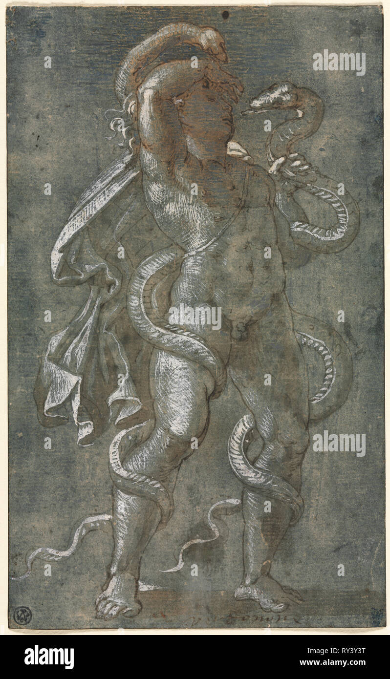 L'Uomo intrecciano da due serpenti, c. 1527. Attribuito a Giovanni Antonio da Pordenone (italiano, 1483/84-1539). Penna e inchiostro bruno e il pennello di colore marrone e lavare con gouache blu, rafforzata con gouache bianco; linee di delimitazione in inchiostro marrone; foglio: 19,2 x 11,7 cm (7 9/16 x 4 5/8 in Foto Stock
