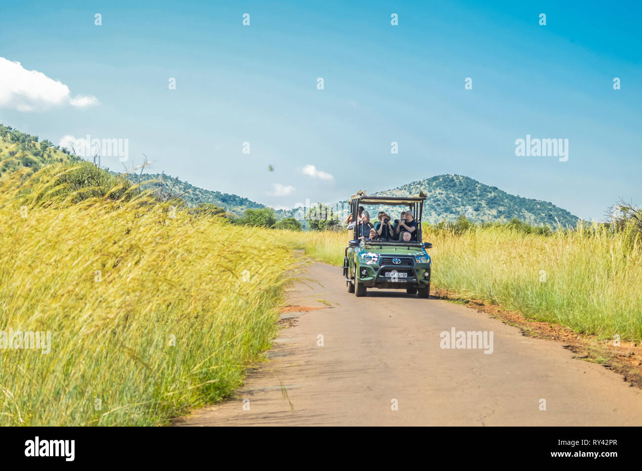 Autentico True South African Safari esperienza di Bushveld in una riserva naturale Foto Stock