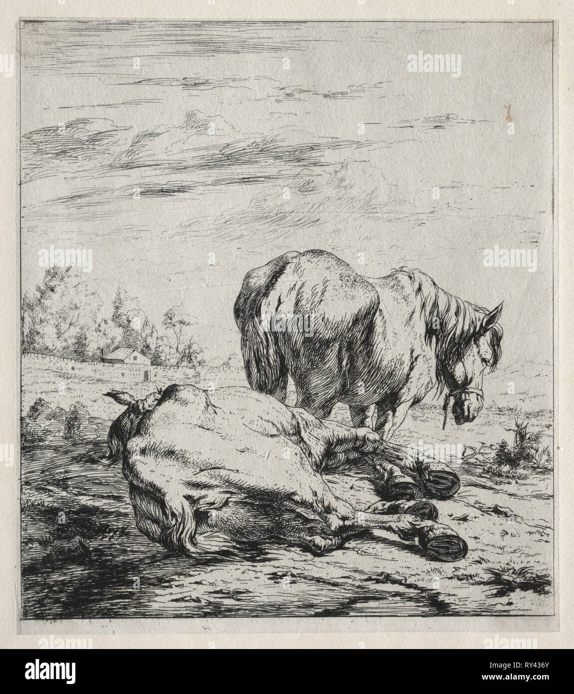 I due cavalli, 1850. Charles Meryon (Francese, 1821-1868). Attacco Foto Stock