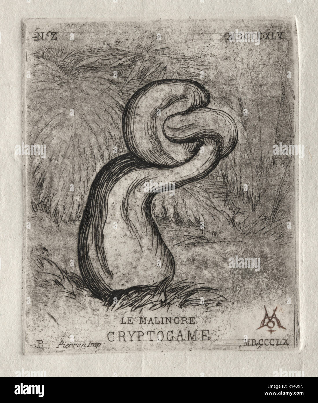 Il malaticcio Cryptogam, 1860. Charles Meryon (Francese, 1821-1868). Attacco Foto Stock