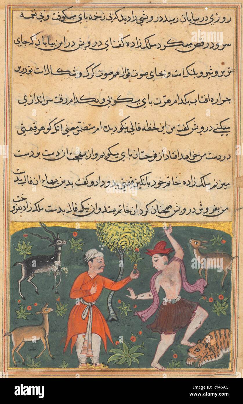 Pagina da racconti di un pappagallo (Tuti-nama): Diciottesima notte: Il principe incontra una spensierata dancing darwish la cui buona fortuna egli acquisti per il suo anello, c. 1560. India, Mughal, regno di Akbar, del XVI secolo. Acquerello opaco, inchiostro e oro su carta Foto Stock