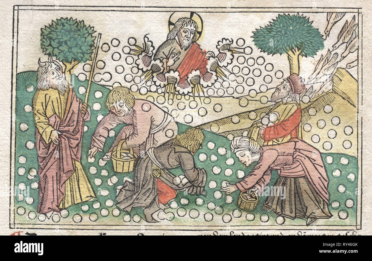 Nüremberg Bibbia: la manna caduta dal cielo, 1400s. La Germania del XV secolo. Xilografia Foto Stock