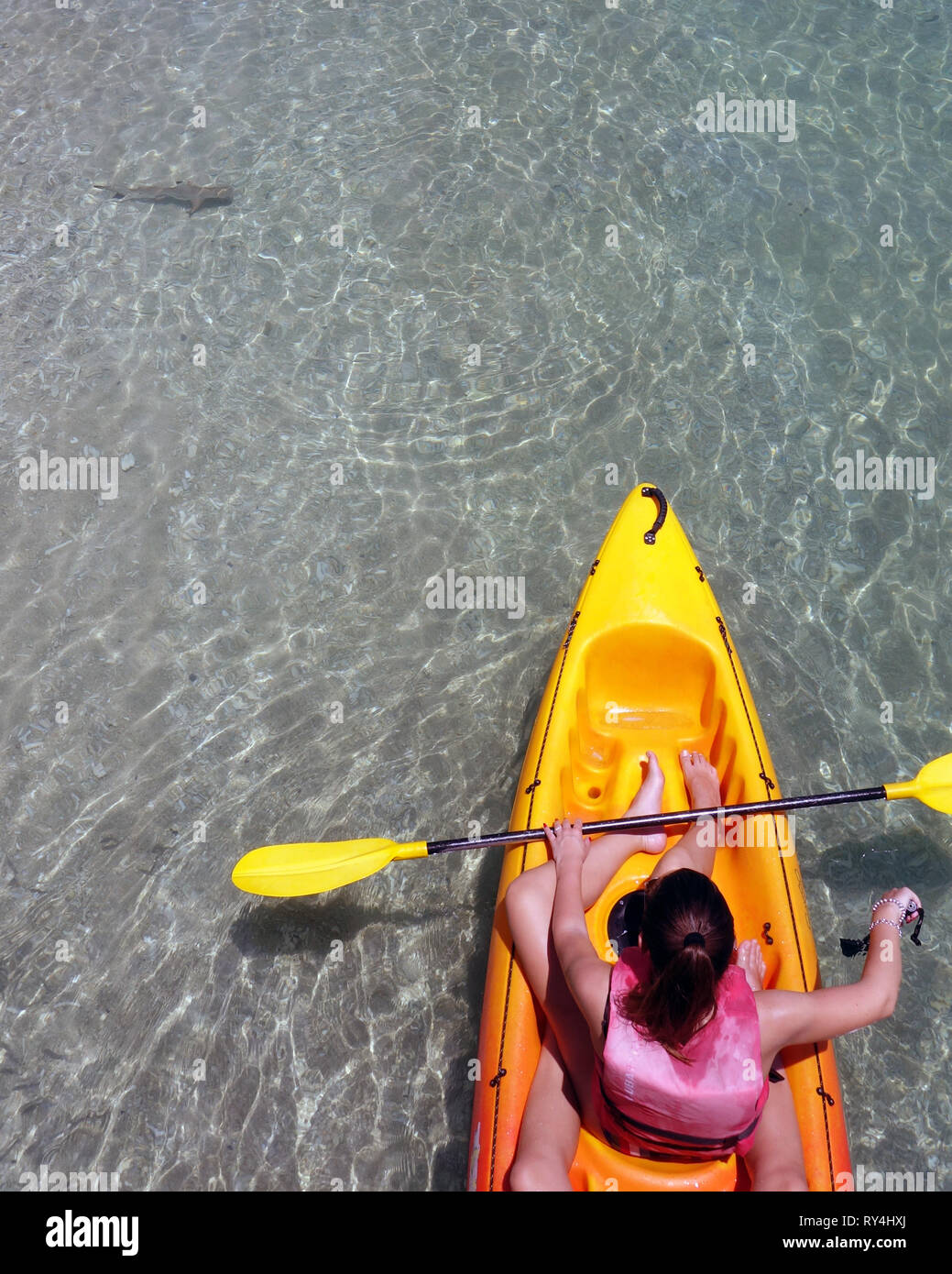 Ragazze in kayak la visualizzazione di novellame di blacktip squali di barriera (Carcharhinus melanopterus) nei fondali bassi a Fitzroy Island, della Grande Barriera Corallina Foto Stock