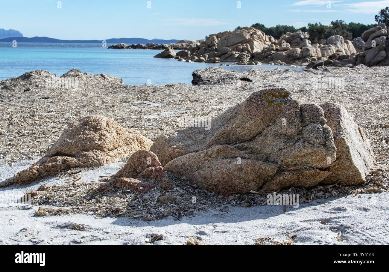 Acqua verde e piante fanerogame a secco su una spiaggia invernale in Costa Smeralda, Sardegna, Italia nel mese di marzo. Foto Stock