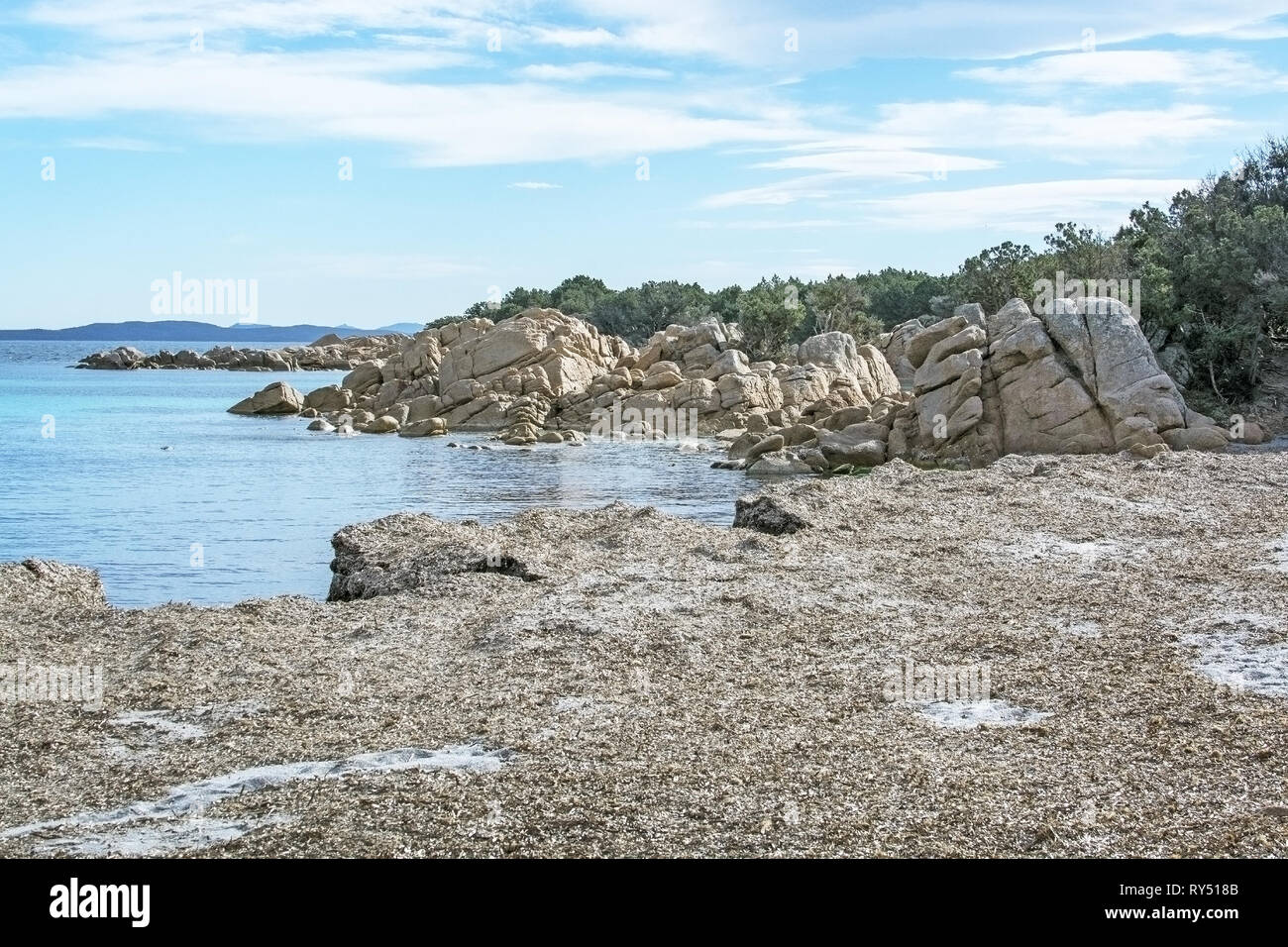 Acqua verde e piante fanerogame a secco su una spiaggia invernale in Costa Smeralda, Sardegna, Italia nel mese di marzo. Foto Stock