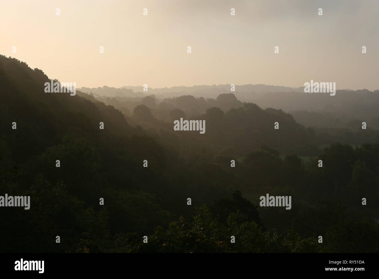 Vista dall'Acquedotto Pontcysyllte: una nebbiosa mattina su Jeffrey il legno e le Dee Valley, Vale of Llangollen, Wrexham, Galles Foto Stock