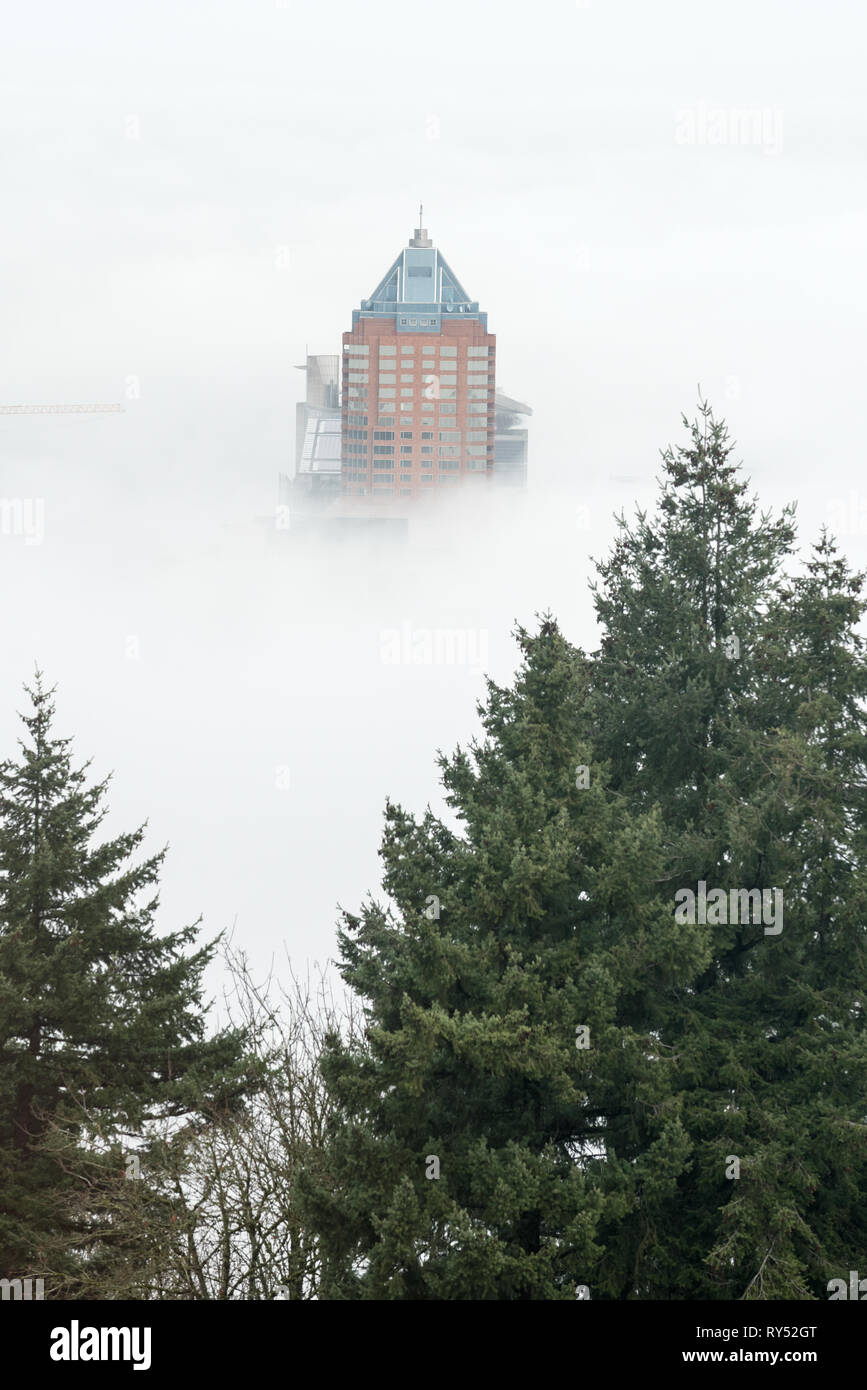 Koin torre in un mare di nebbia, Portland, Oregon. Foto Stock