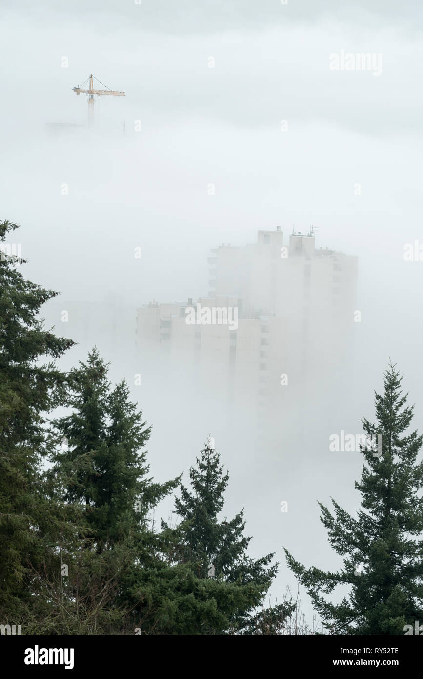 Alti edifici e costruzione gru in un mare di nebbia, Portland, Oregon. Foto Stock