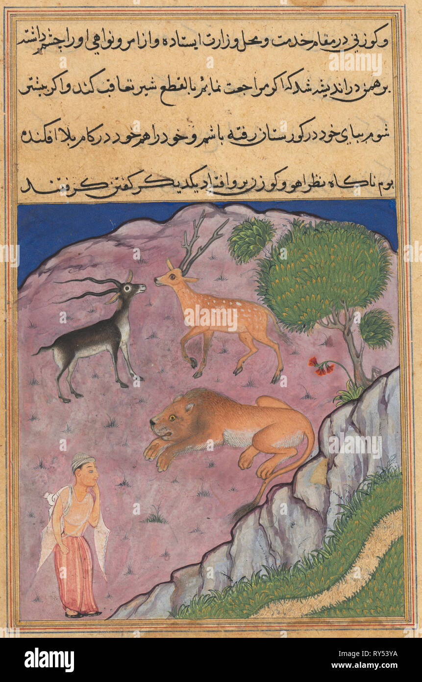 Pagina da racconti di un pappagallo (Tuti-nama): venti-prima notte: il Brahman viene fornito su di un leone che ha un cervo e una gazzella come suo viziers, c. 1560. India, Mughal, regno di Akbar, del XVI secolo. Acquerello opaco, inchiostro e oro su carta Foto Stock