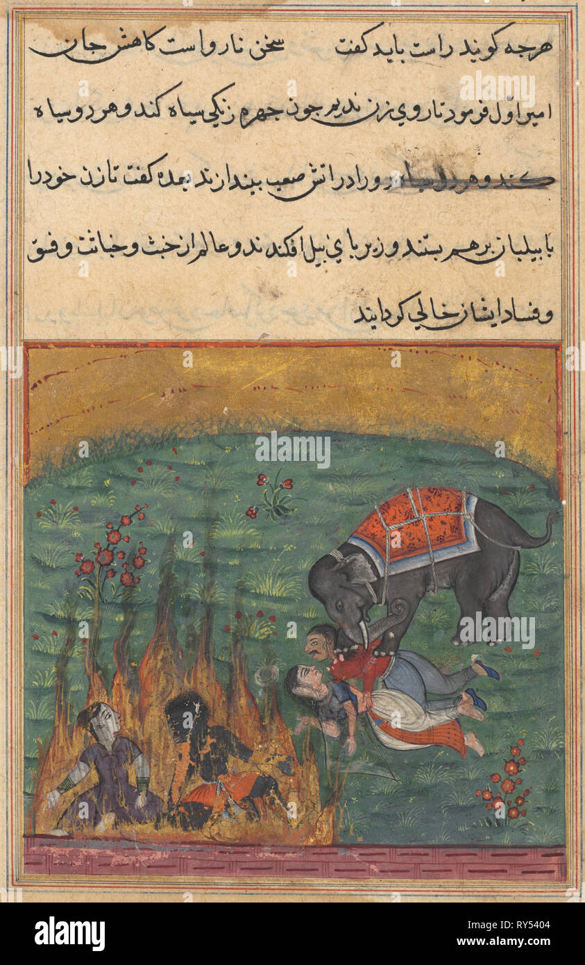 Pagina da racconti di un pappagallo (Tuti-nama): ventiduesima notte: come punizione, il buffone la moglie e la Zangi sono gettati nel fuoco e il amir la moglie e il mahout sono calpestati da un elefante, c. 1560. India, Mughal, regno di Akbar, del XVI secolo. Acquerello opaco, inchiostro e oro su carta Foto Stock