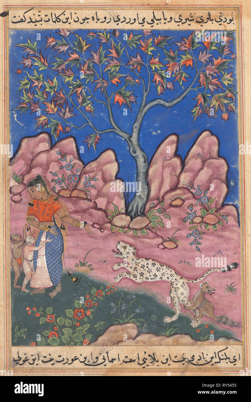 Pagina da racconti di un pappagallo (Tuti-nama): trentesima notte: la donna a conversare con i suoi figli, come il leopardo restituisce, egged su da una volpe che si è legato alla sua gamba, c. 1560. India, Mughal, regno di Akbar, del XVI secolo. Acquerello opaco, inchiostro e oro su carta Foto Stock