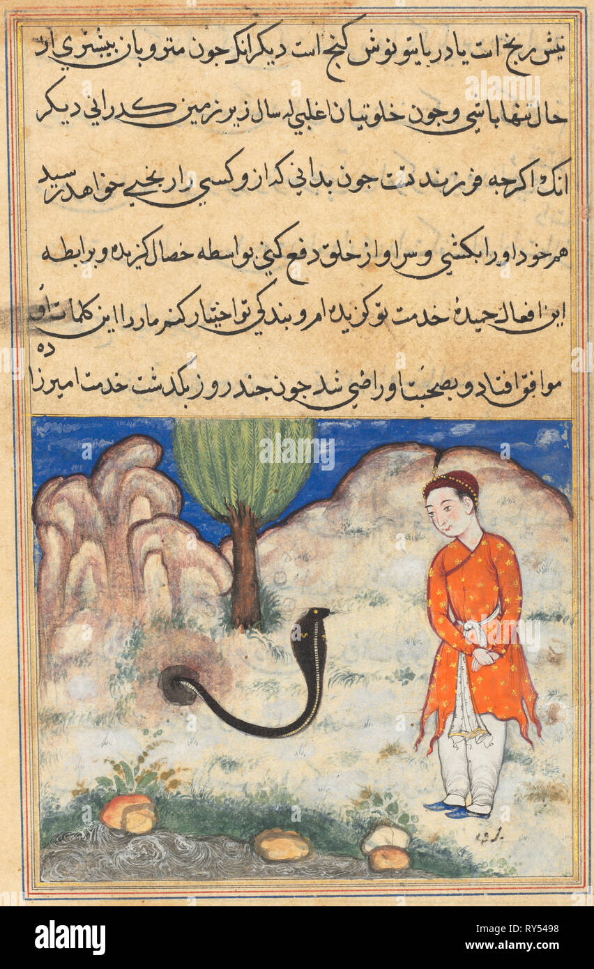 Pagina da racconti di un pappagallo (Tuti-nama): trentasettesimo notte: il principe, un figlio del principe del Sistan, entra al servizio di un serpente, c. 1560. India, Mughal, regno di Akbar, del XVI secolo. Acquerello opaco, inchiostro e oro su carta Foto Stock