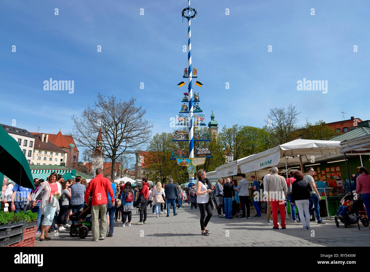 Maibaum, Viktualienmakt, Monaco di Baviera, Deutschland Foto Stock