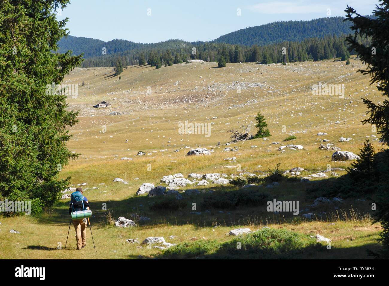 Francia, Isere, Vercors riserva naturale nazionale, l'Altopiano di Vercors, Correncon en Vercors, Femmina gli escursionisti a piedi Foto Stock