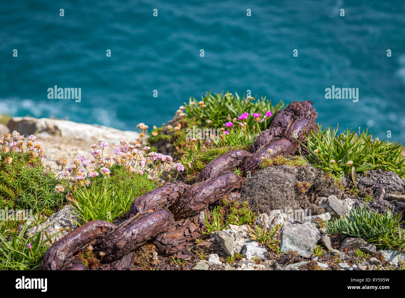 Mizen Head scogliere e Faro Museo Foto Stock