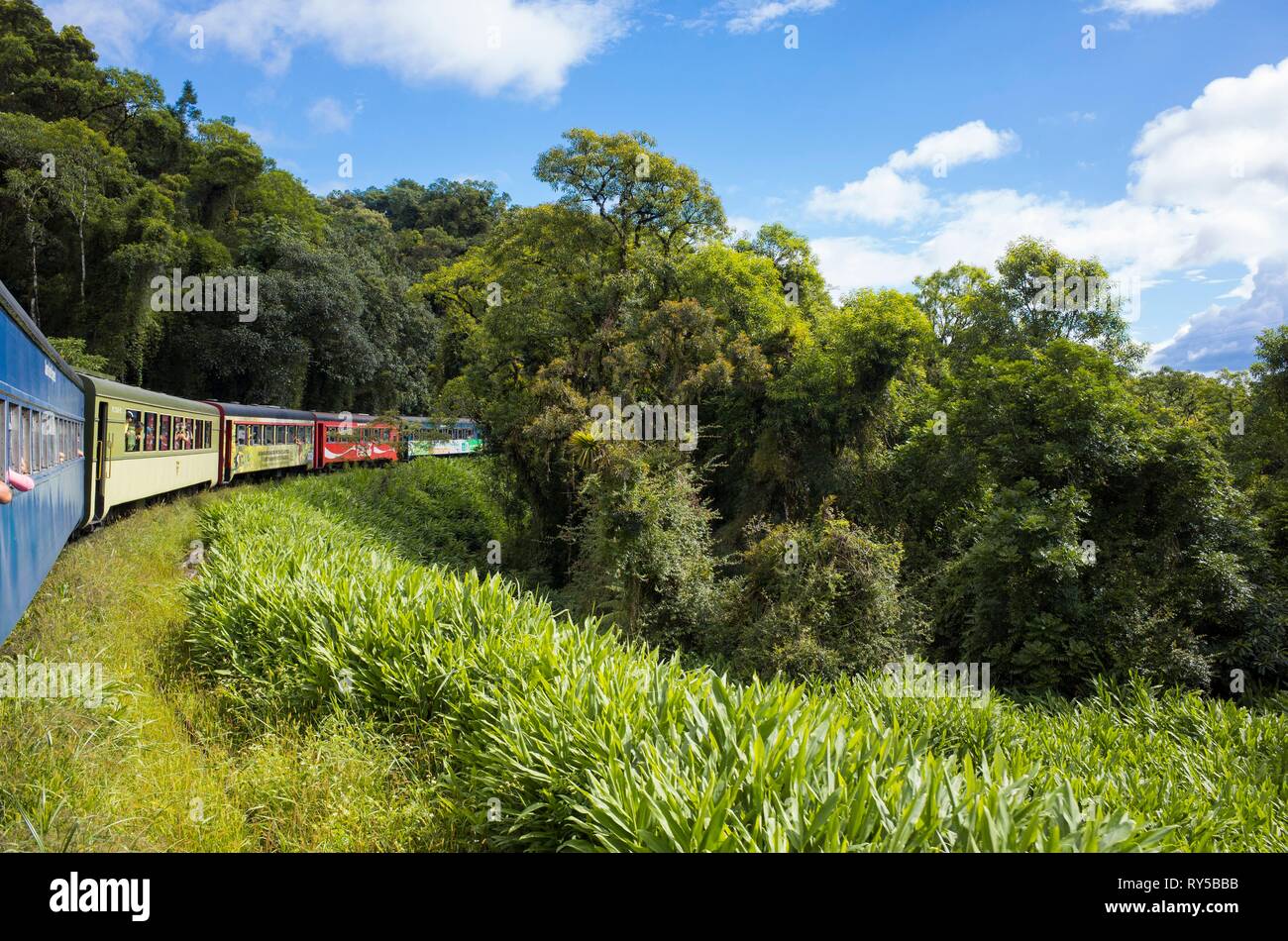 Il Brasile, Parana, Curitiba, la Serra Verde il treno Express per il porto di Paranagua attraversa gli ultimi resti della giungla costiera e vertiginose montagne Foto Stock