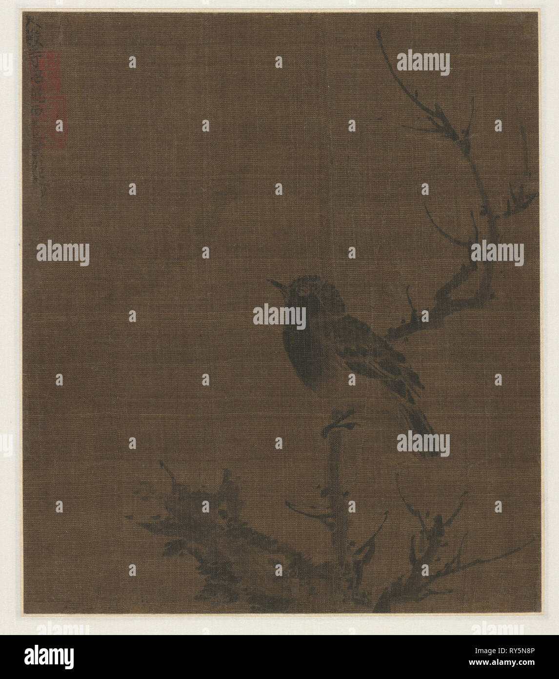Sleeping uccello su un ramo di Prunus, 1400s. Bian Wenjin (Cinese, circa 1354-1428). Album Leaf, inchiostro su seta; complessivo: 24,3 x 21 cm (9 9/16 x 8 1/4 in Foto Stock