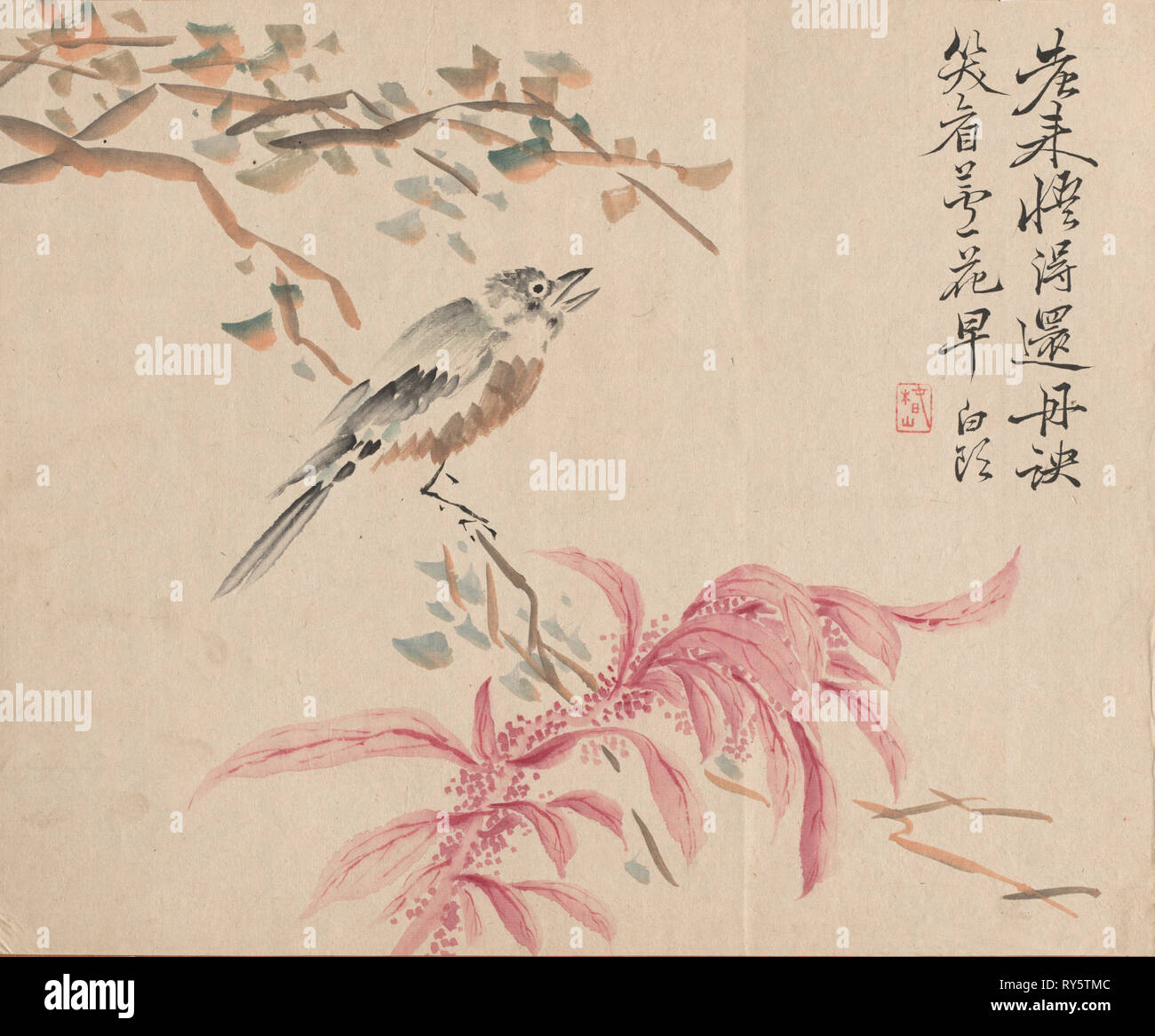 Di fragole e spinaci usignolo. Tsubaki Chinzan (giapponese, 1801-1854). Acquerello su carta; foglio: 28 x 34,4 cm (11 x 13 9/16 in Foto Stock