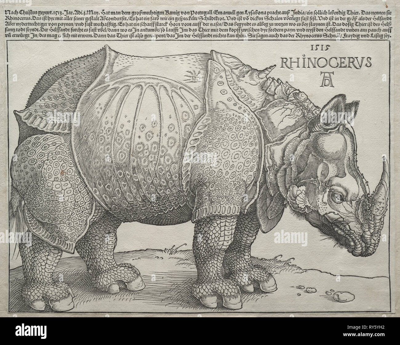 Il rinoceronte, 1515. Albrecht Dürer (Tedesco, 1471-1528). Xilografia; immagine: 23,8 x 30,1 cm (9 3/8 x 11 7/8 in Foto Stock