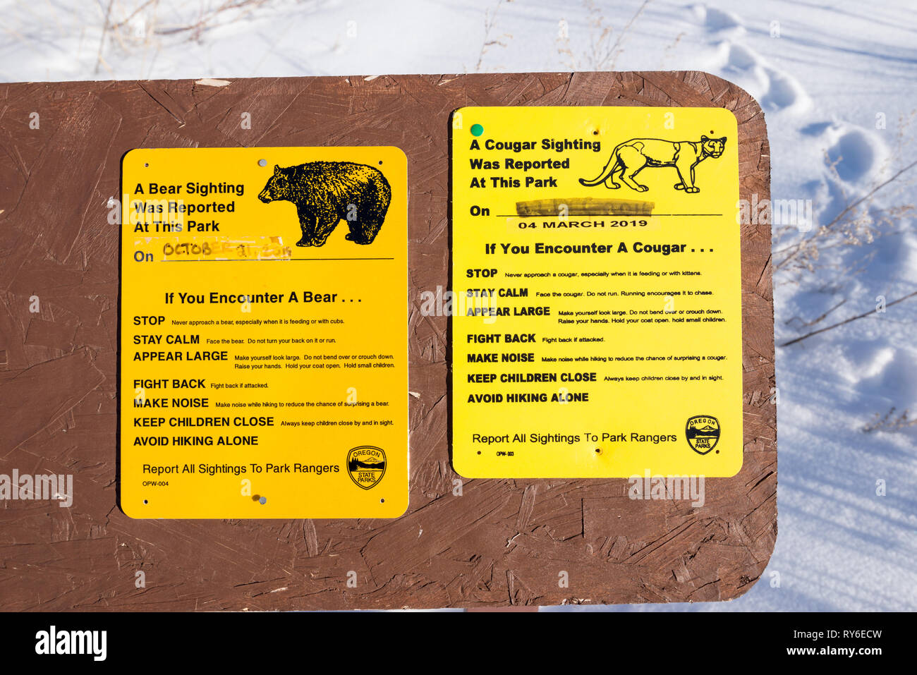 Orso e mountain lion segni di avvistamento, Iwetemlaykin membro Heritage Site, Oregon. Foto Stock