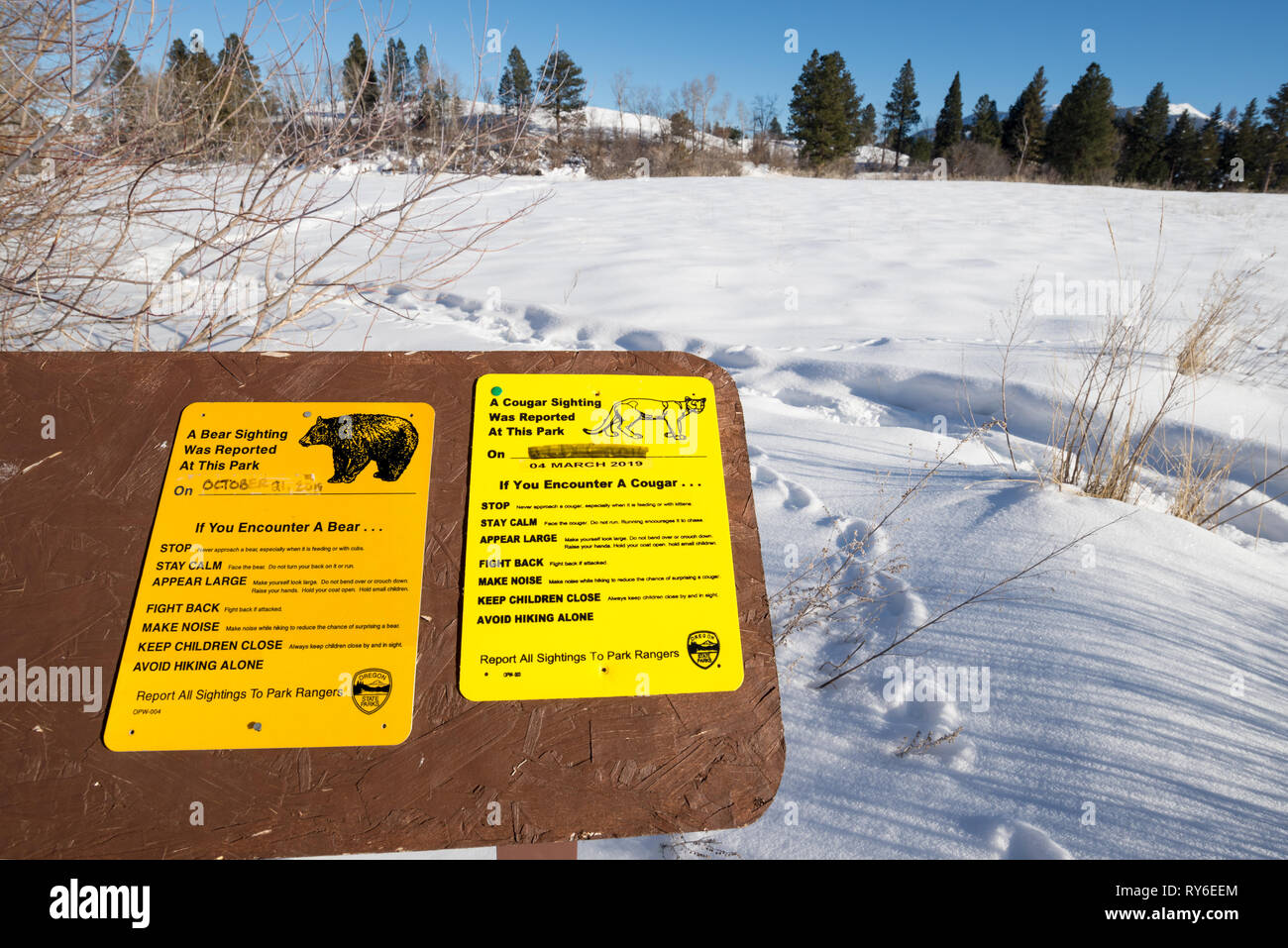 Orso e mountain lion segni di avvistamento, Iwetemlaykin membro Heritage Site, Oregon. Foto Stock