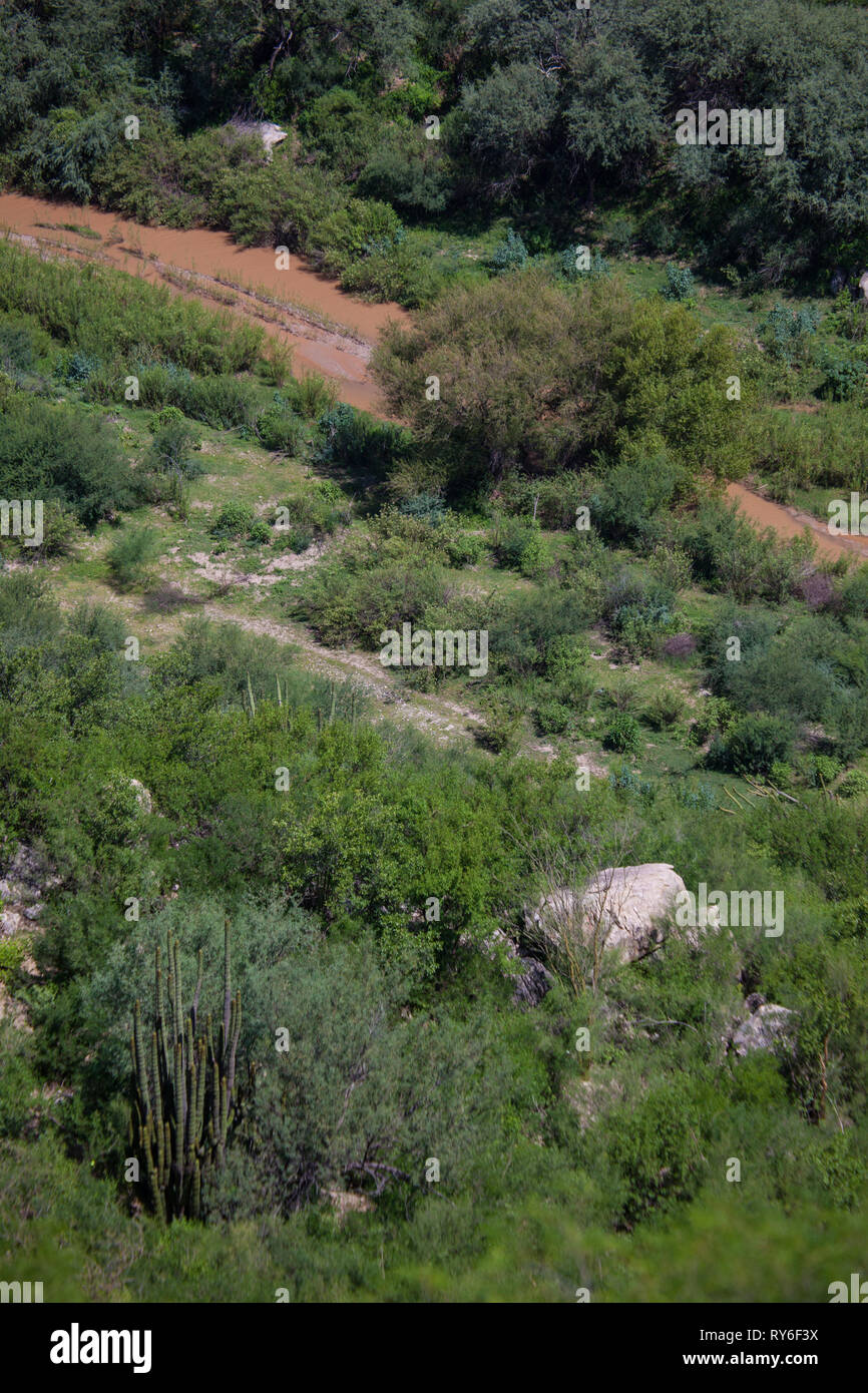 Rio Sonora, MPO. Ures, Sonora, Messico Foto Stock