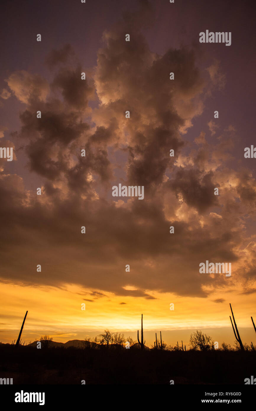 Las Conchas, MPO. Hermosillo, Sonora, Messico Foto Stock