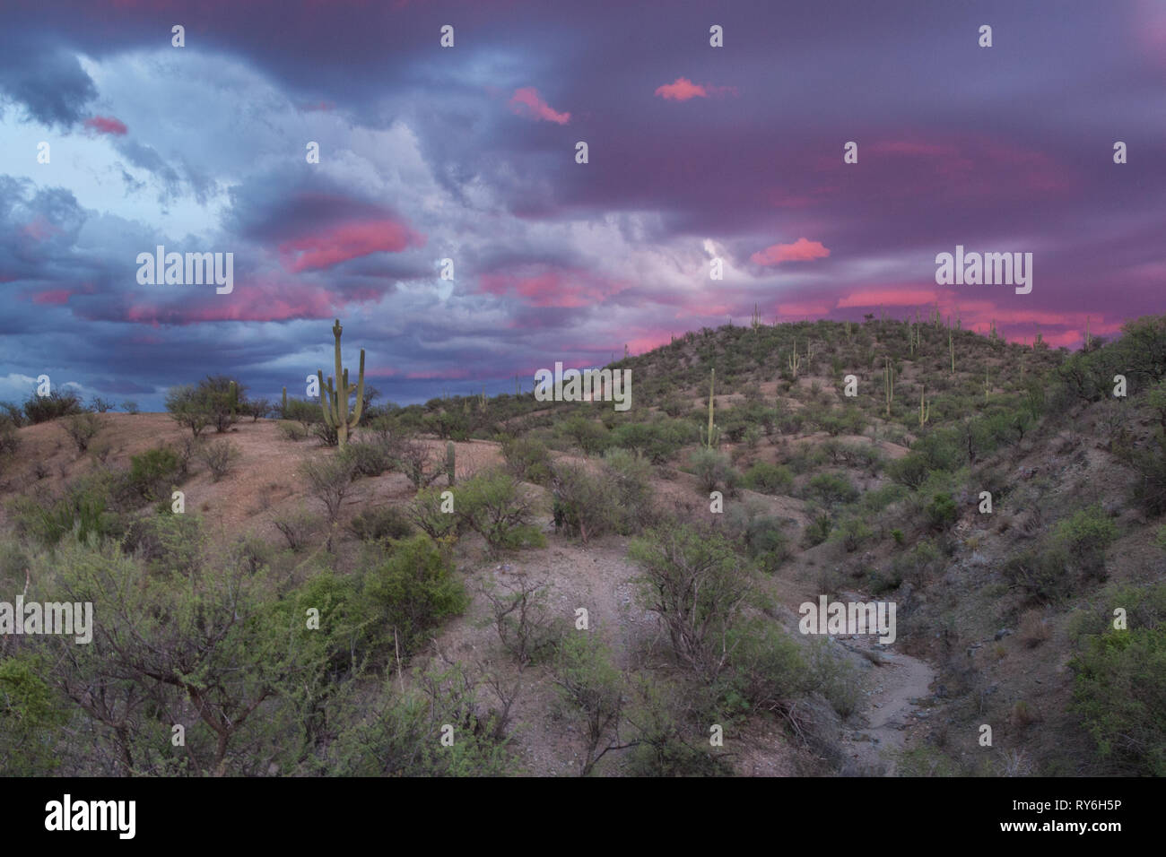 Saric, MPO. Saric, Sonora, Messico Foto Stock