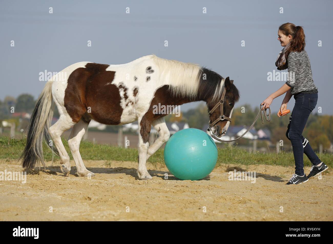 Donna con Pinto Foto Stock