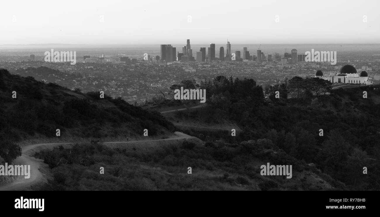 Verdi alberi dominano il colore di primo piano con lo skyline della città di Los Angeles in background Foto Stock