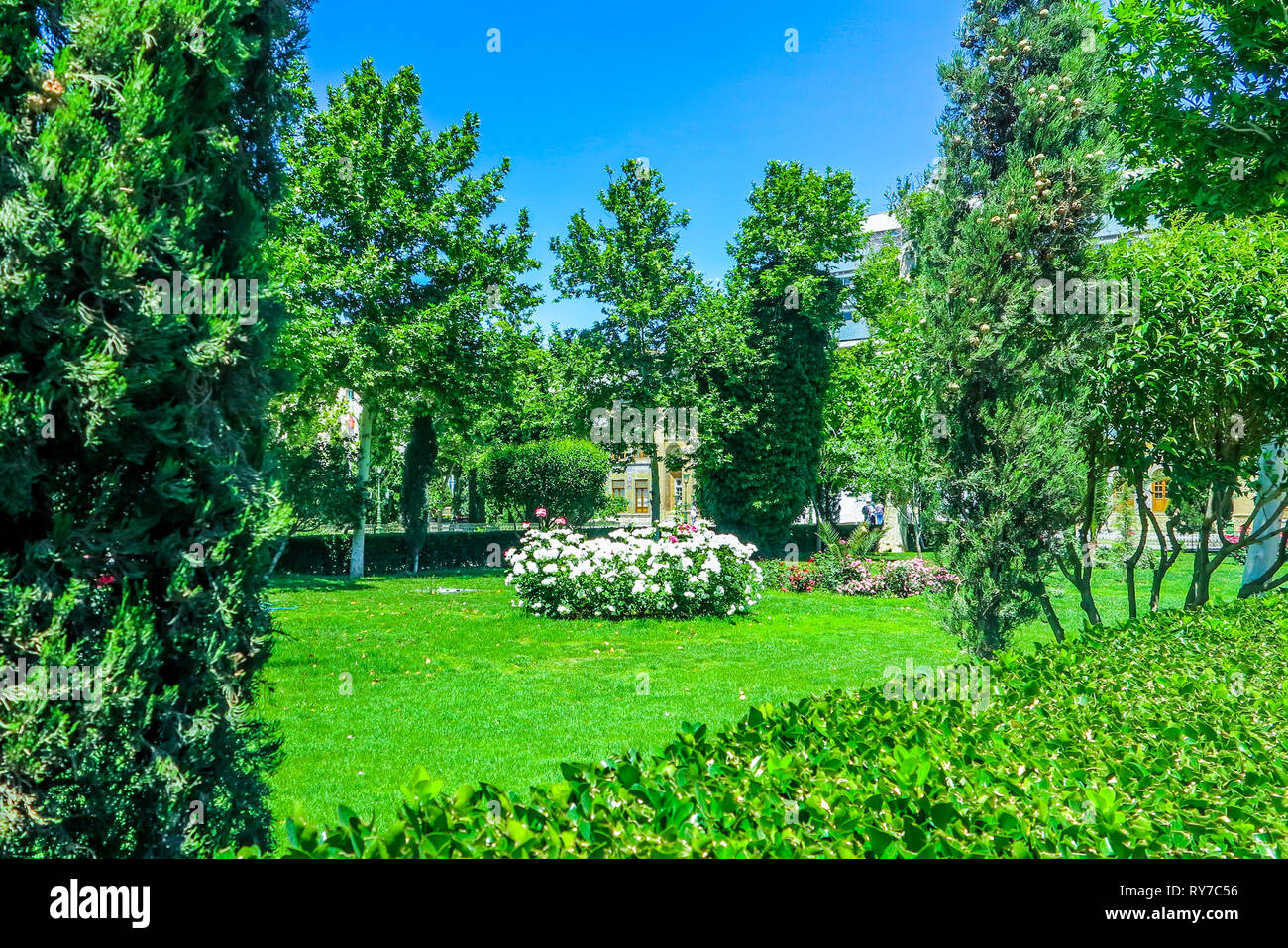 Tehran Golestan Palace Garden rose bianche e siepi tagliate Foto Stock