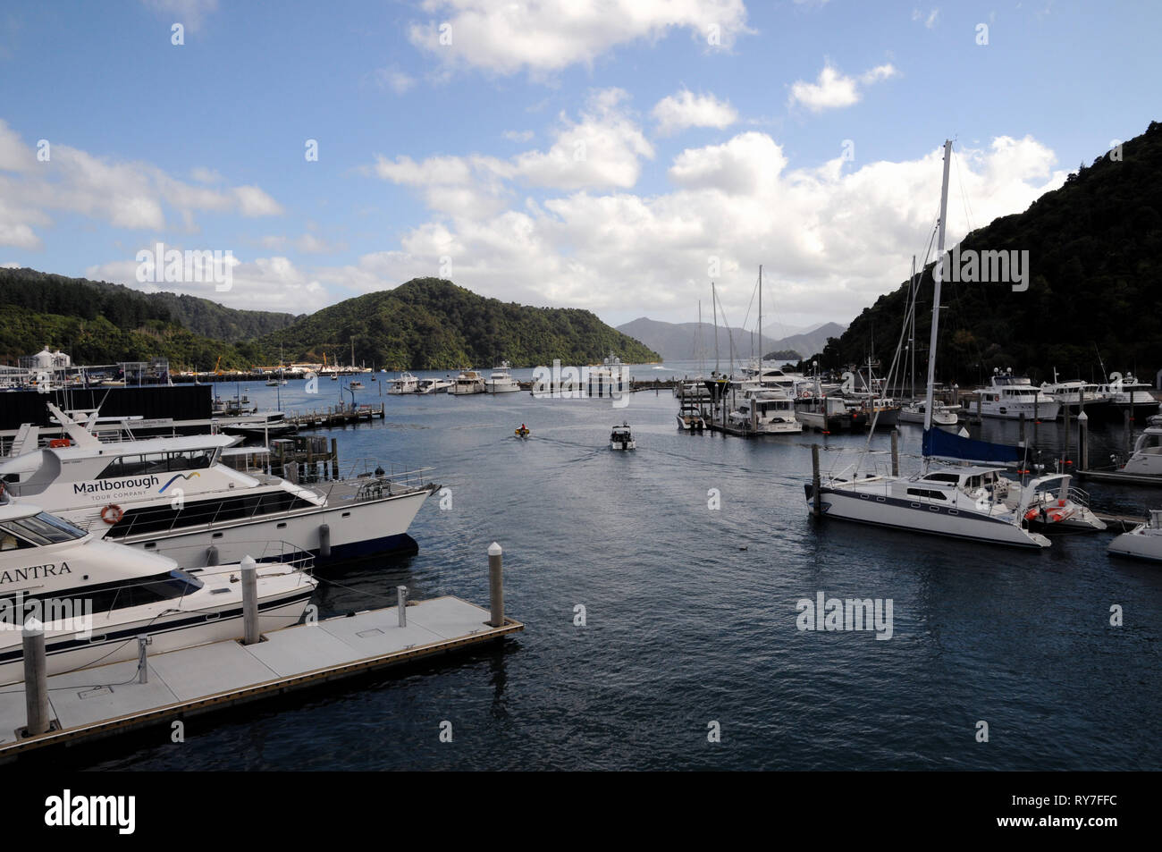 Picton Marina quasi alla testa della Queen Charlotte Sound nella regione di Marlborough di New Zealands Isola del Sud. Foto Stock
