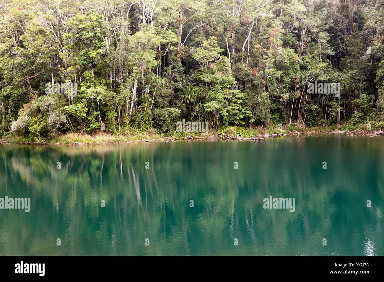 Vista del lago Eacham, Atherton Tabella terre del Nord del Queensland, Australia Foto Stock
