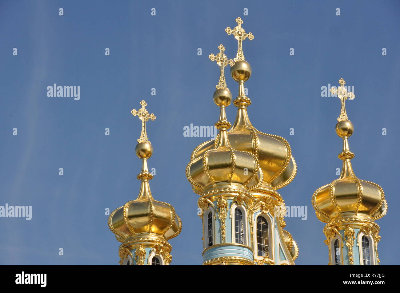 Catherine cipolle Foto Stock