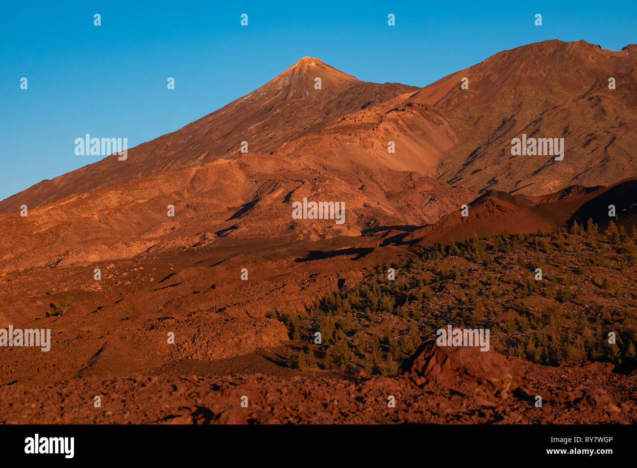 Il Teide e Pico Viejo vulcani al tramonto Foto Stock