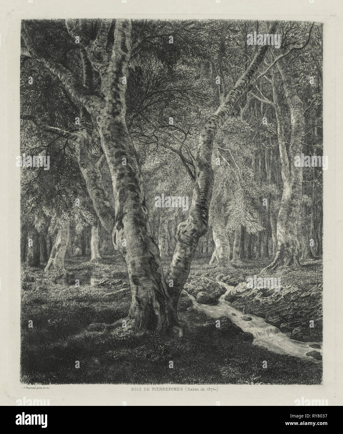Bois de Pierrefonds, 1874. Adolphe Théodore Jules Potémont marziale (Francese, 1828-1883). Incisione; foglio: 42,7 x 31,5 cm (16 13/16 x 12 3/8 in.); platemark: 30 x 25,6 cm (11 13/16 x 10 1/16 in Foto Stock