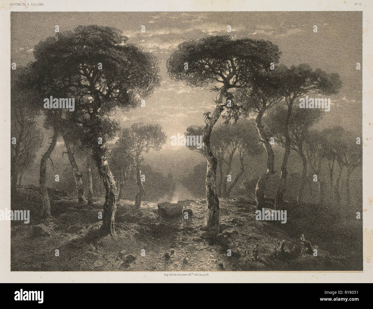 Oeuvres de A. Calame, n. 13: Forêt de Sierre en Valais, 1843 (pubblicato 1851). Jacomme & Cie. R. de Lancry, 12, Parigi, Alexandre Calame (Swiss, 1810-1864), F. Delarue, r. J.J. Rouseau, 10, Parigi. Litografia; foglio: 36,7 x 54 cm (14 7/16 x 21 1/4 in.); immagine: 17,5 x 23,8 cm (6 7/8 x 9 3/8 in Foto Stock