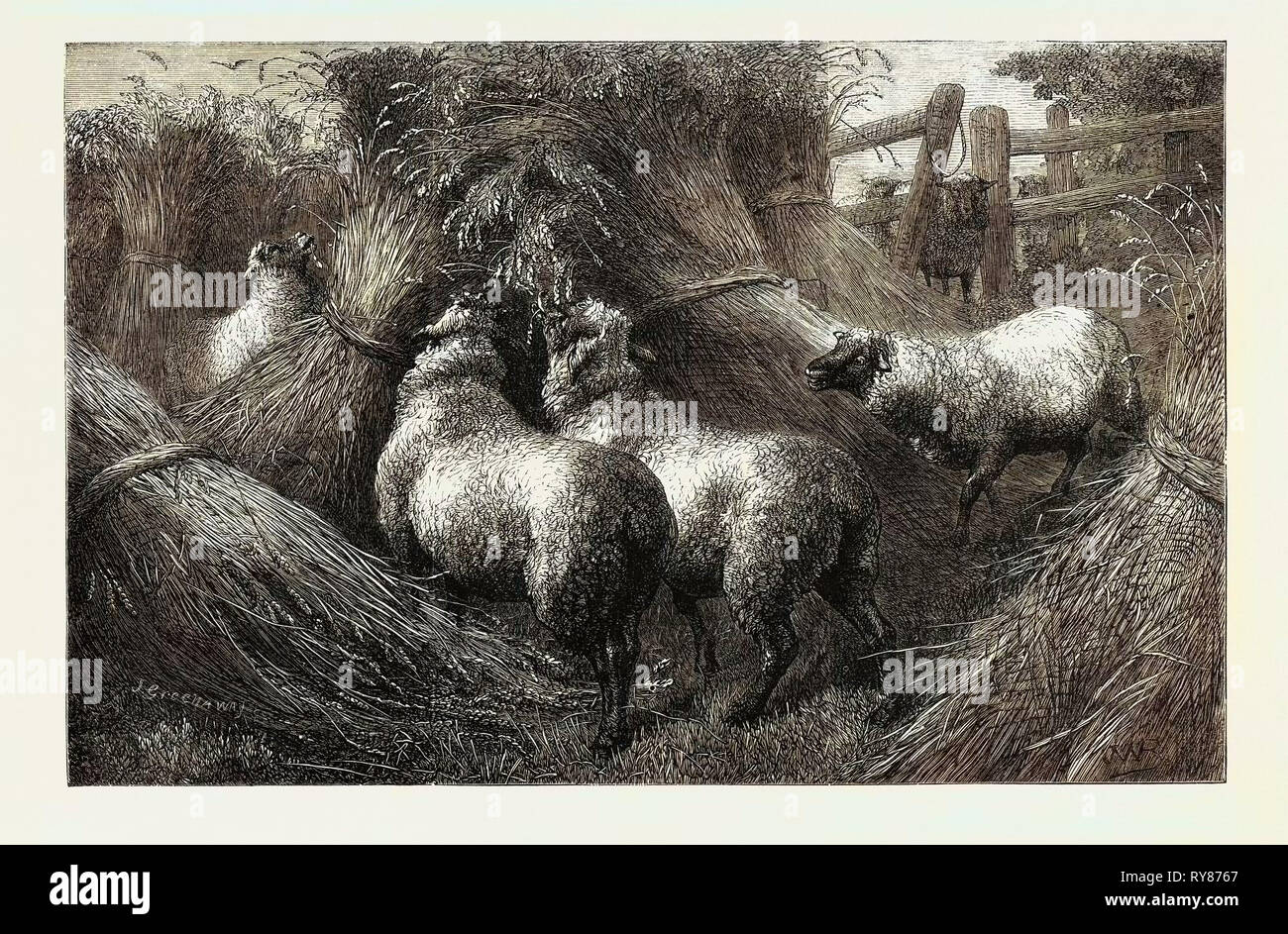 Frutto proibito dal tardo mostra della Royal Academy 1867 Foto Stock