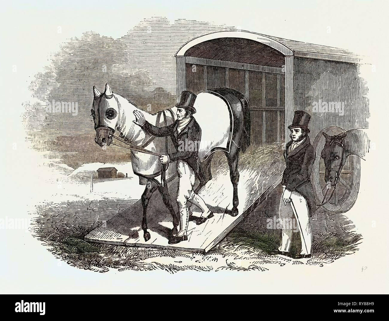 Race-Horse Van Foto Stock