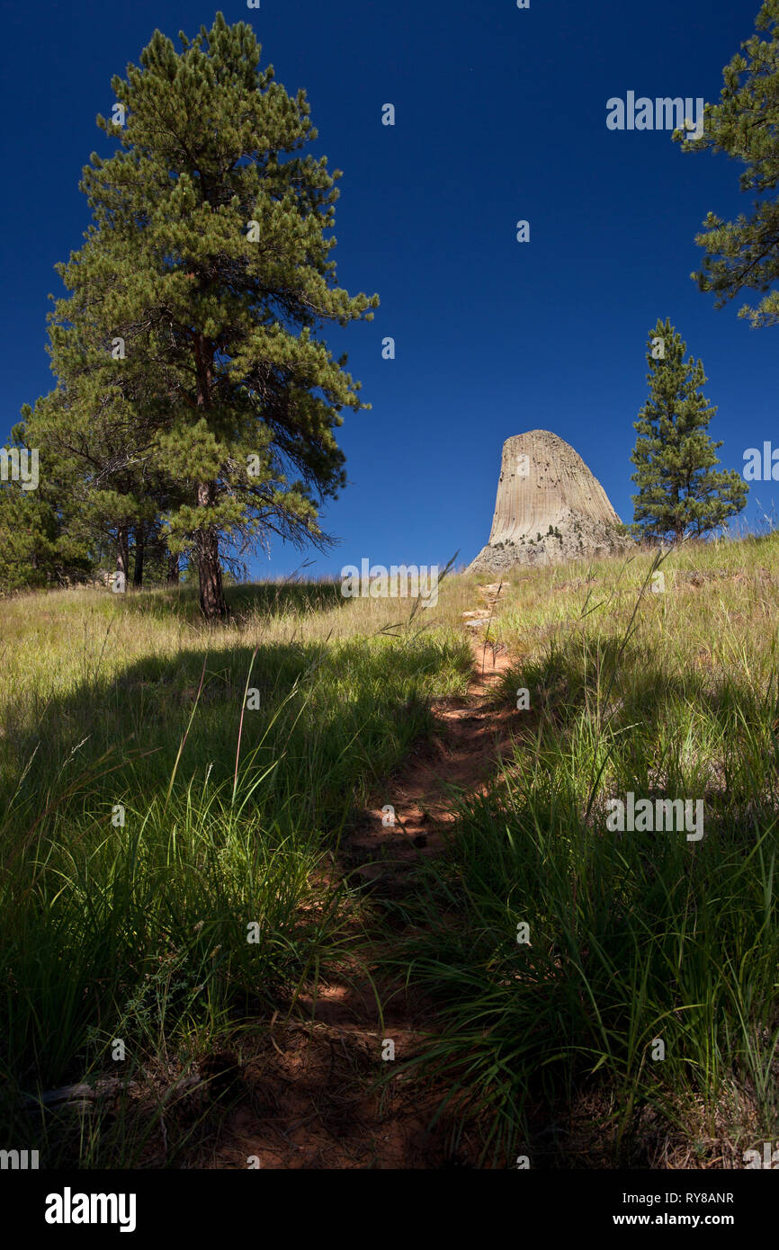 Devil's Tower monumento nazionale, Crook County, Wyoming USA Foto Stock