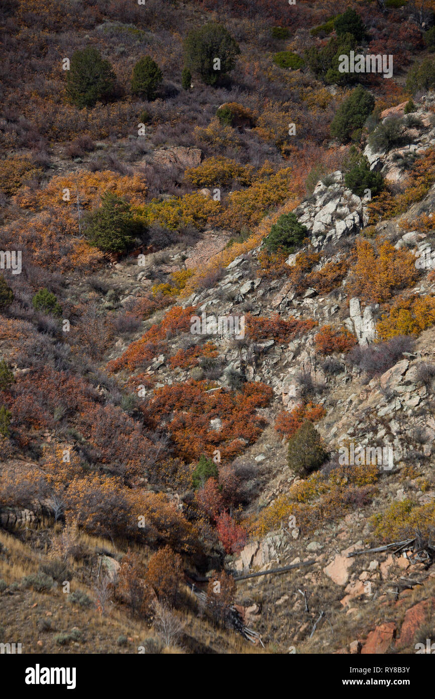 Forcella spagnolo Canyon dello Utah County, Utah, Stati Uniti d'America Foto Stock