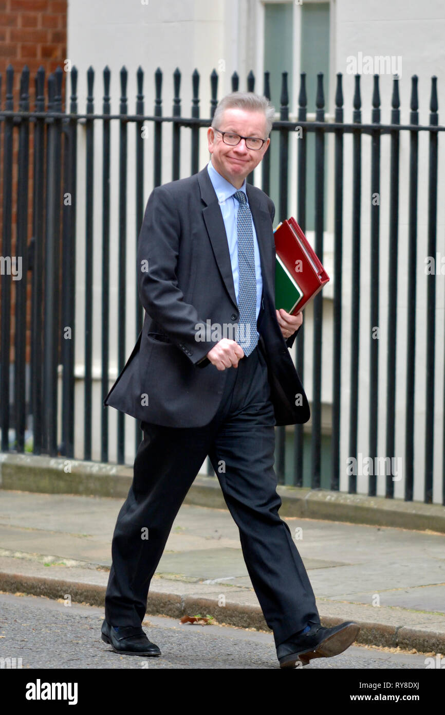 Michael Gove MP (Cost: Surrey Heath- il Segretario di Stato per l'ambiente, l'alimentazione e gli affari rurali) a Downing Street, 11 marzo 2019 Foto Stock