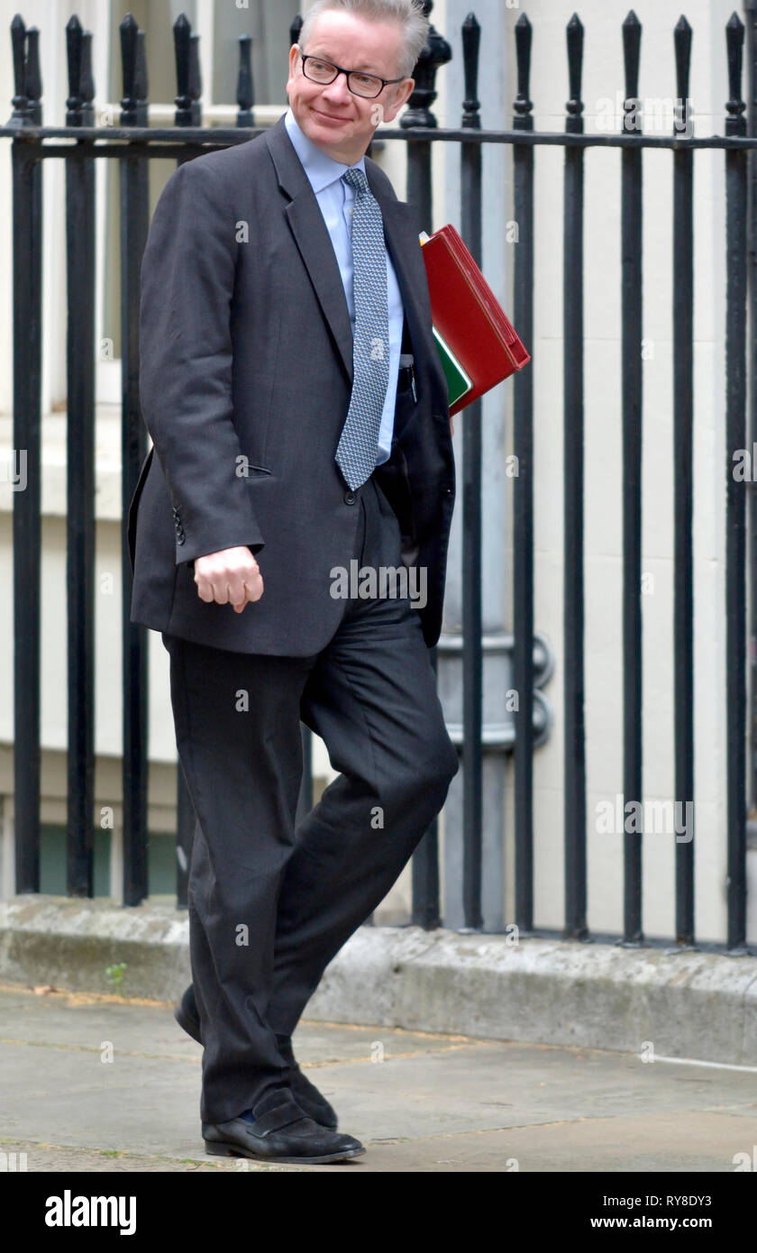 Michael Gove MP (Cost: Surrey Heath- il Segretario di Stato per l'ambiente, l'alimentazione e gli affari rurali) a Downing Street, 11 marzo 2019 Foto Stock