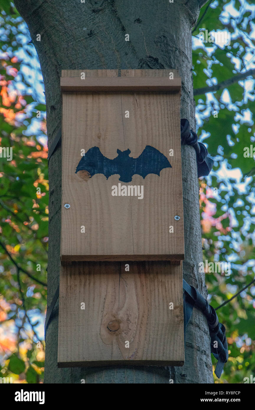Bat notte Casa di Apeldoorn Paesi Bassi 2018 Foto Stock