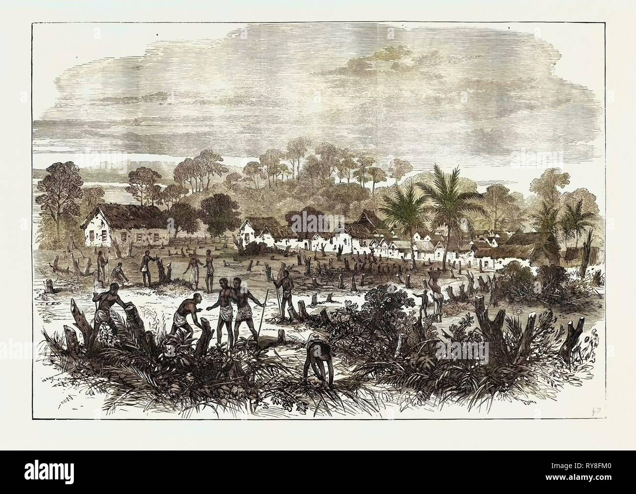 La guerra Ashantee: Il Battle-Field di Abrakrampa 1874 Foto Stock