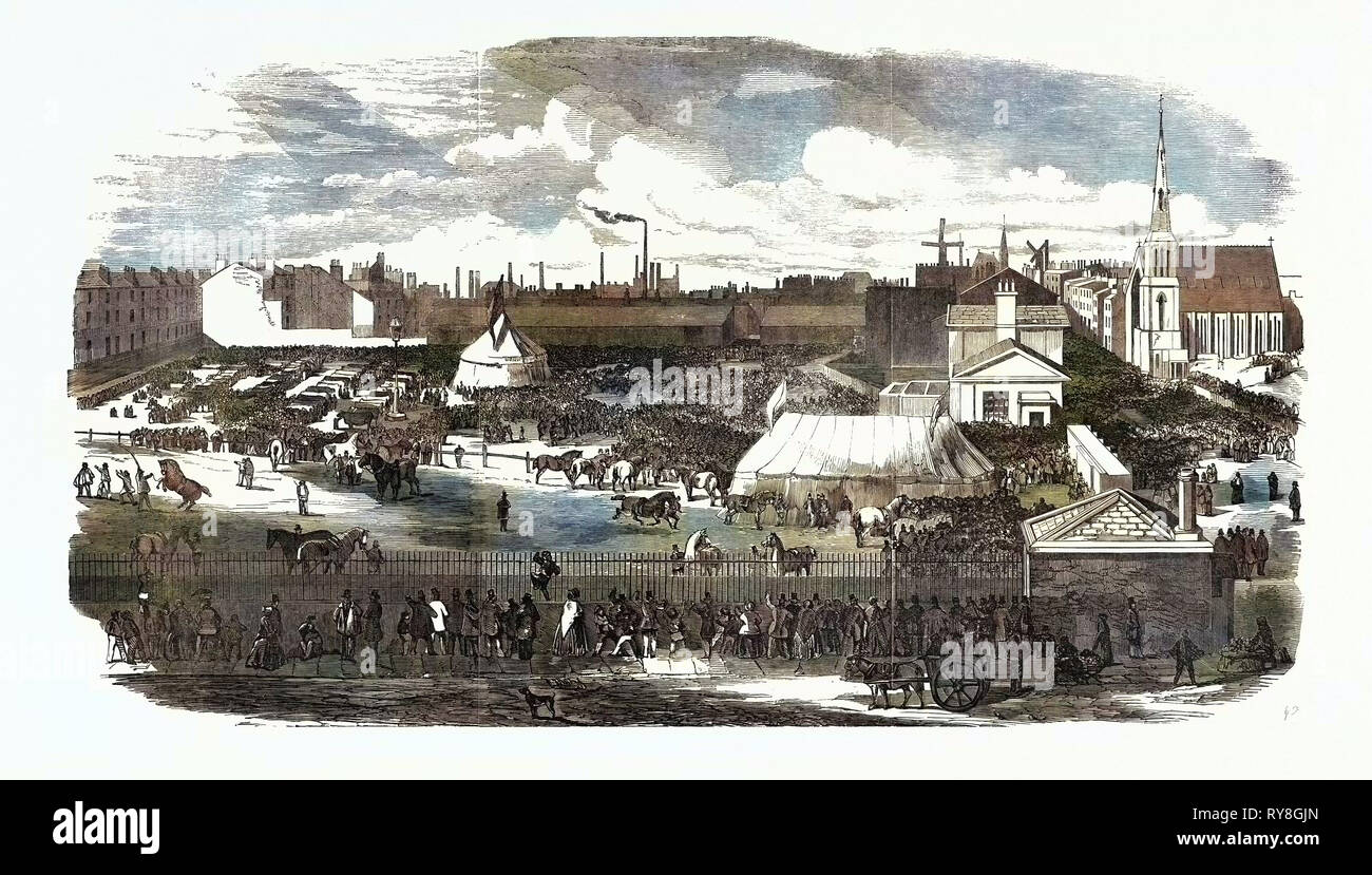 Mostra del Manchester e Liverpool Società Agricola, nel Haymarket, grande Omero Street, Liverpool, 1852 Foto Stock